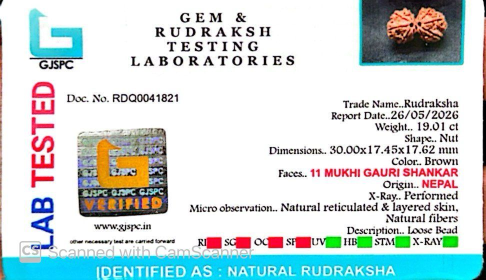 Gauri Shankar Rudraksha Nepali