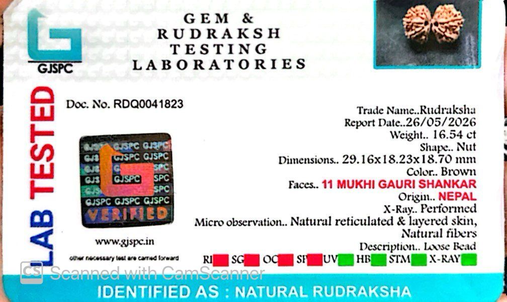 Gauri Shankar Rudraksha Nepali