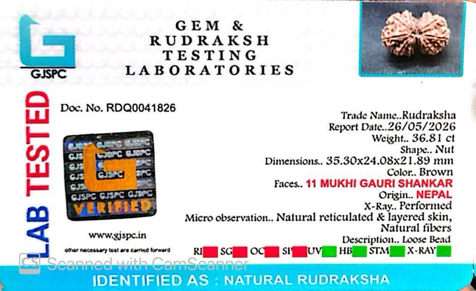 Gauri Shankar Rudraksha Nepali