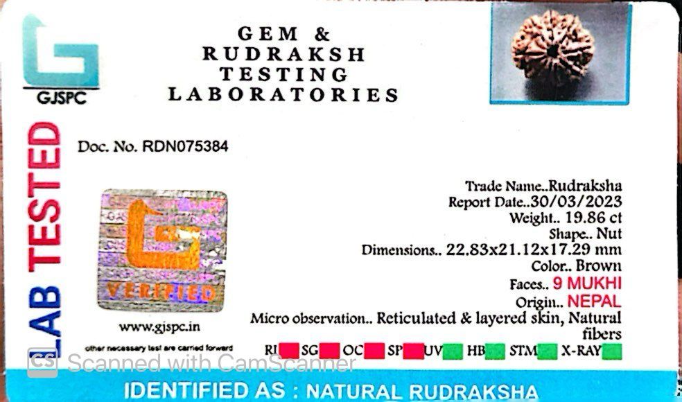 Natural 9 Mukhi Rudraksha – The Bead of Power, Courage & Divine Energy