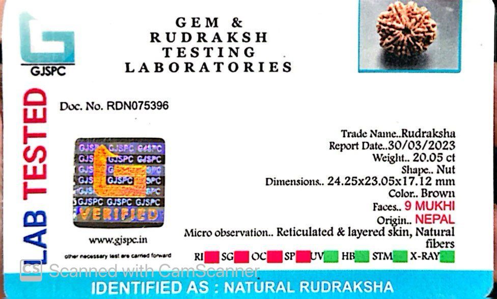 Natural 9 Mukhi Rudraksha – The Bead of Power, Courage & Divine Energy