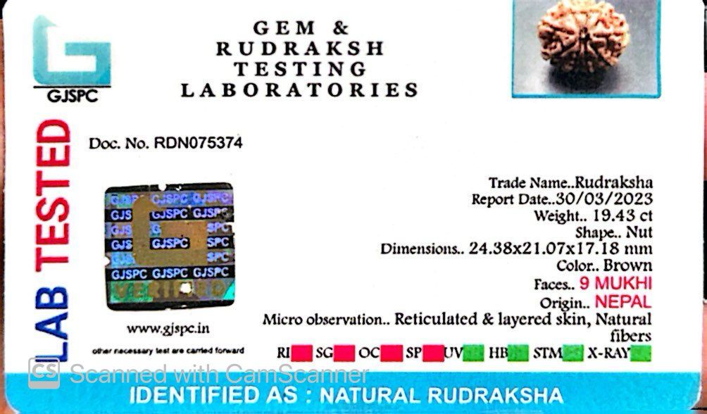 Natural 9 Mukhi Rudraksha – The Bead of Power, Courage & Divine Energy