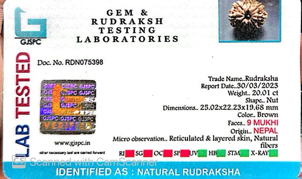 Natural 9 Mukhi Rudraksha – The Bead of Power, Courage & Divine Energy