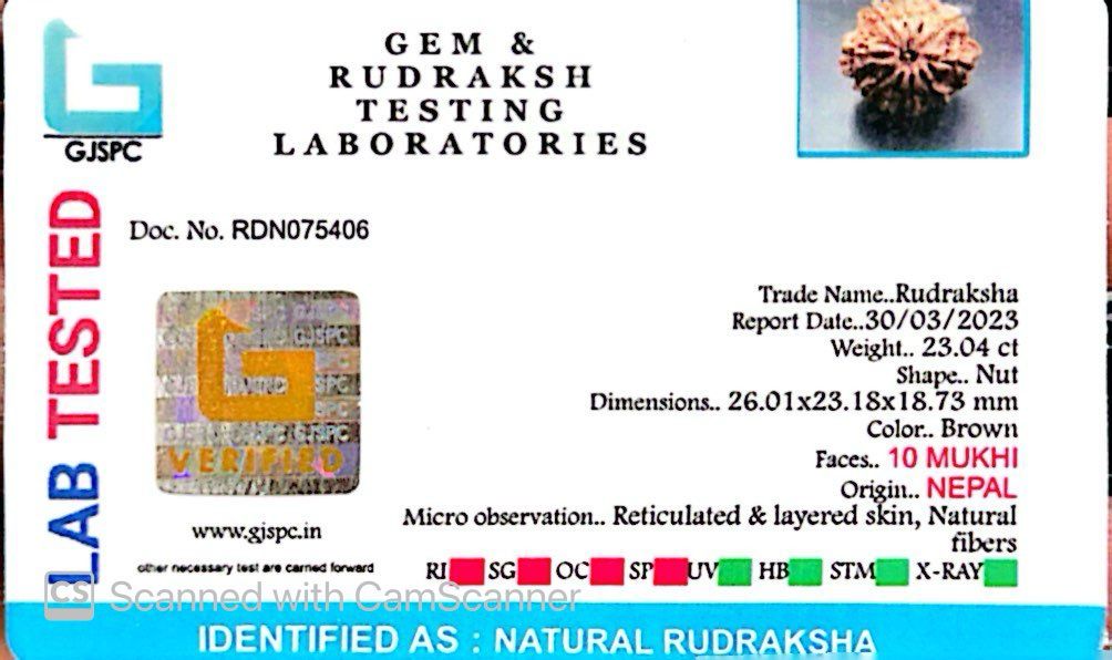 Natural 10 Mukhi Rudraksha – Empowered Protection & Divine Shield