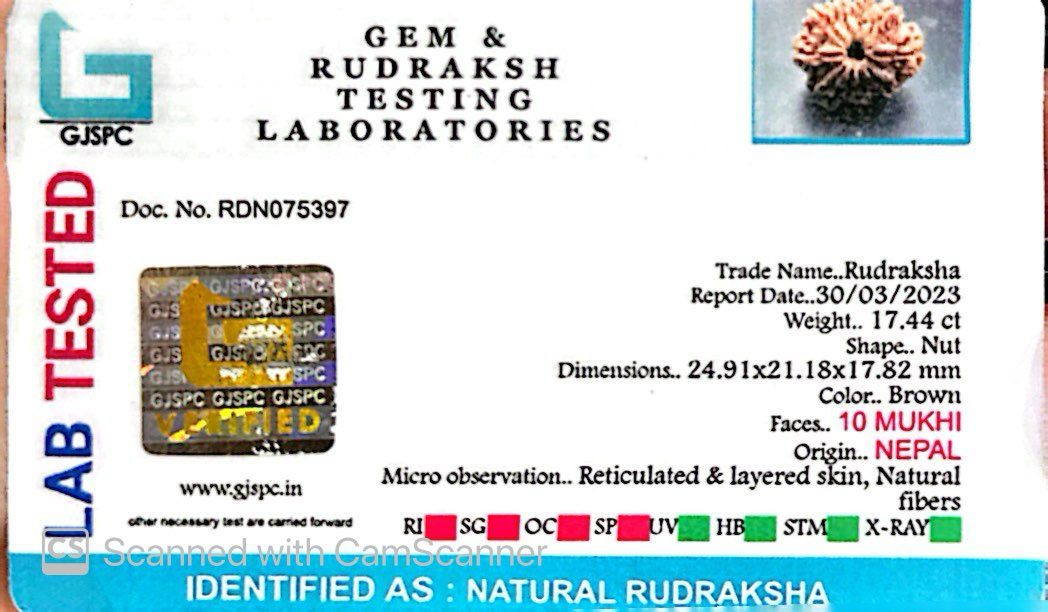 Natural 10 Mukhi Rudraksha – Empowered Protection & Divine Shield
