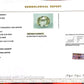 Pitambari Gems – Dual Power of Jupiter & Saturn in One Divine Stone 6.56 CT
