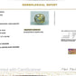 Pitambari Gems – Dual Power of Jupiter & Saturn in One Divine Stone 3.63 CT