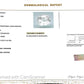 Natural(H) White Sapphire Gemstone Online – Certified & Ethically Sourced 2.45 CT