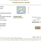 Natural White Sapphire Gemstone Online – Certified, Untreated & Ethically Sourced 6.48 CT