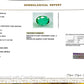 Natural Emerald (Panna) – Wisdom, Prosperity & Planet Mercury’s Blessing 4.39 CT