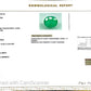Natural Emerald (Panna) – Wisdom, Prosperity & Planet Mercury’s Blessing 6.27 CT