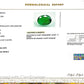 Natural Emerald (Panna) – Wisdom, Prosperity & Planet Mercury’s Blessing 5.16 CT
