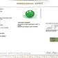 Natural Emerald (Panna) – Wisdom, Prosperity & Planet Mercury’s Blessing 9.90CT