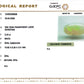 Australian Opal – The Gem of Radiant Fire, Rarity & Intuition 3.23 CT