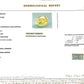 Natural Yellow Sapphire (Pukhraj) – Prosperity, Wisdom & Jupiter’s Blessing 3.08 CT