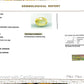 Natural Yellow Sapphire (Pukhraj) – Prosperity, Wisdom & Jupiter’s Blessing 5.88 CT