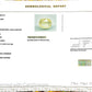 Natural Yellow Sapphire (Pukhraj) – Prosperity, Wisdom & Jupiter’s Blessing 8.63 CT