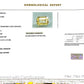 Natural Yellow Sapphire (Pukhraj) – Prosperity, Wisdom & Jupiter’s Blessing 3.02 CT