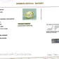 Natural Yellow Sapphire (Pukhraj) – Prosperity, Wisdom & Jupiter’s Blessing 2.46 CT