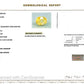 Natural Yellow Sapphire (Pukhraj) – Prosperity, Wisdom & Jupiter’s Blessing 10.33 CT