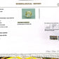 Natural Yellow Sapphire (Pukhraj) – Prosperity, Wisdom & Jupiter’s Blessing 3.05 CT