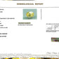 Natural Yellow Sapphire (Pukhraj) – Prosperity, Wisdom & Jupiter’s Blessing 2.64 CT
