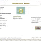 Natural Yellow Sapphire (Pukhraj) – Prosperity, Wisdom & Jupiter’s Blessing 5.14 CT