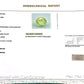 Green Tourmaline – Natural Crystal for Prosperity, Healing & Heart Chakra Balance 5.01 CT