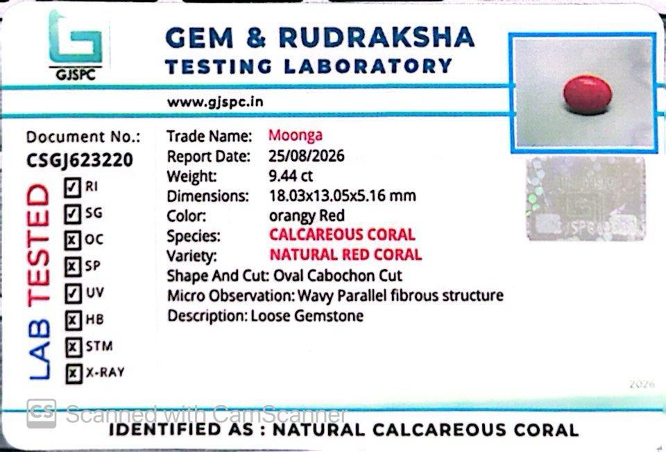 Red Natural Japanese Coral 9.44 CT – Certified Gemstone