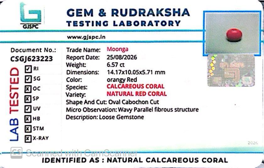 Red Natural Japanese Coral 6.57 CT – Certified Gemstone