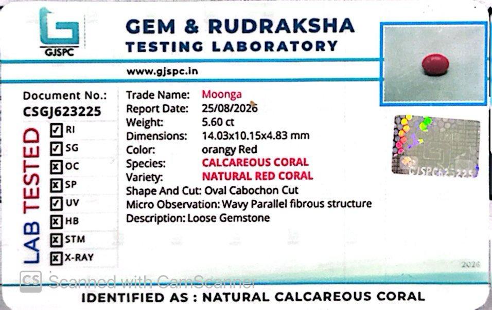 Red Natural Japanese Coral 5.60 CT – Certified Gemstone