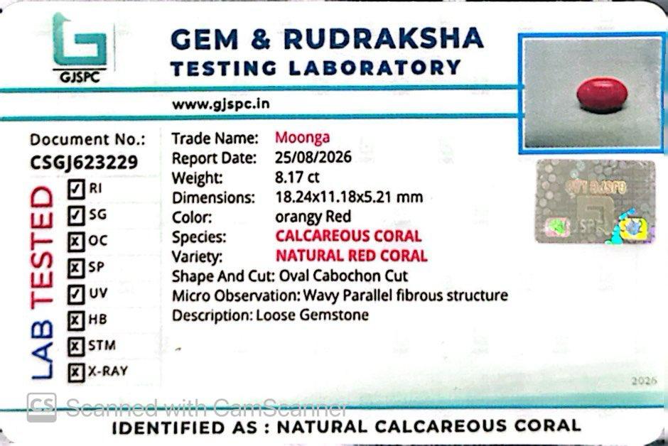 Red Natural Japanese Coral 8.17 CT – Certified Gemstone