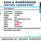 🌿 14 Mukhi Nepali Rudraksha (Natural & Certified). Antik