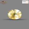 Natural Yellow Sapphire (Pukhraj) 5.51 CT - Certified