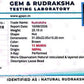 Nepali 11 Mukhi Rudraksha
