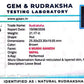 Nepali 6 Mukhi Ganesh Rudraksha