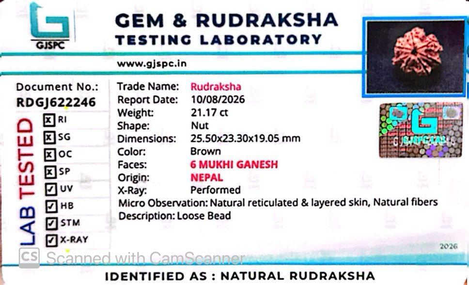 Nepali 6 Mukhi Ganesh Rudraksha