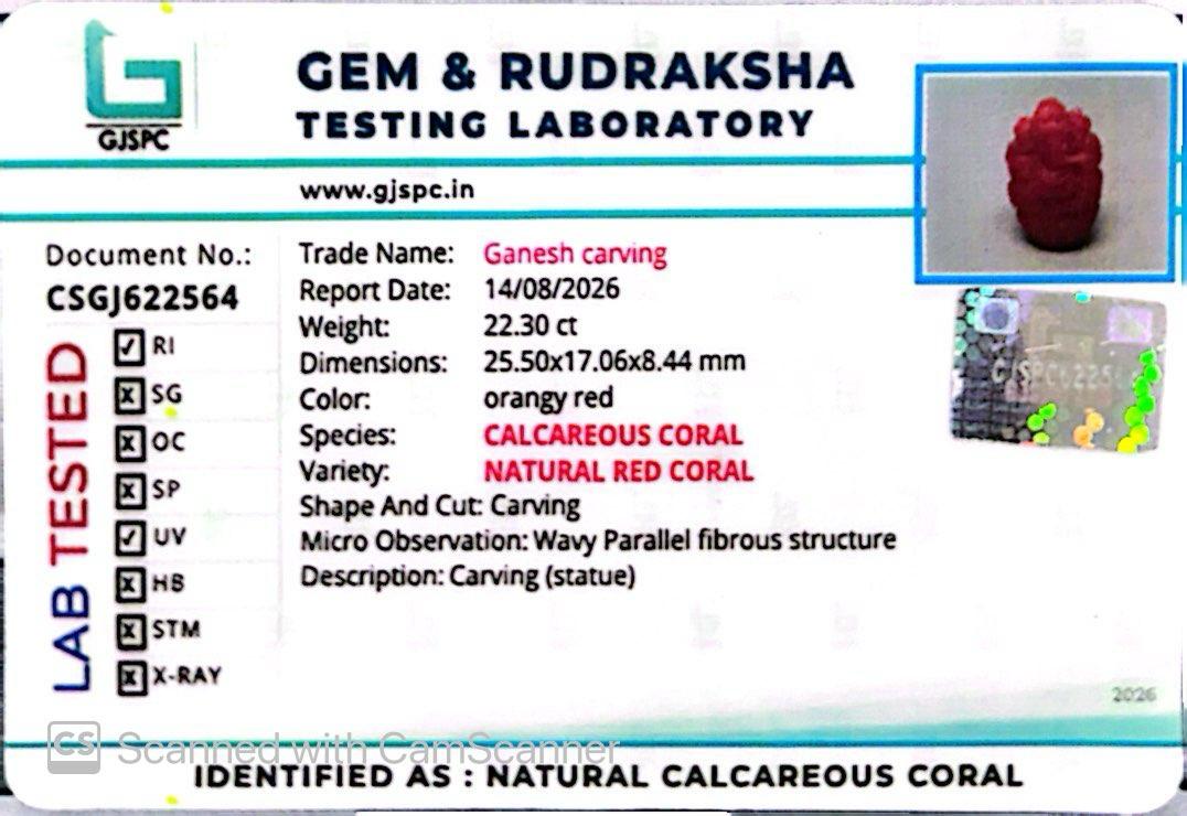 Coral Ganesh 22.30 CT – Certified Gemstone