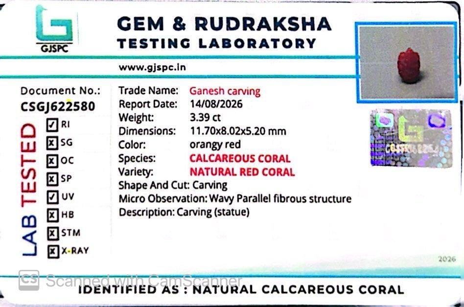 Coral Ganesh 3.39 CT – Certified Gemstone