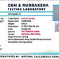 Coral Ganesh 4.06 CT – Certified Gemstone