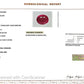 Natural Mozambique Ruby 4.12 Ct Certified