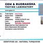 Natural Firoza (Turquoise) 10.85 CT – Certified Gemstone