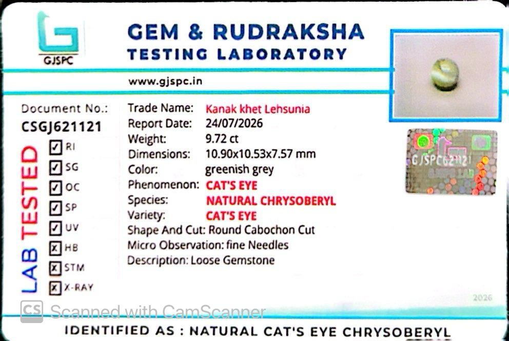 Natural Cat’s Eye Gemstone (Lehsunia) – Protection, Intuition & Ketu’s Power 9.72 CT