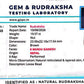 Nepali 6 Mukhi Ganesh Rudraksha