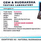 Nepali 9 Mukhi Gauri Shankar Rudraksha