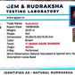 Nepali 11 Mukhi Gauri Shankar Rudraksha