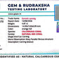 Coral Ganesh 4.81 CT – Certified Gemstone