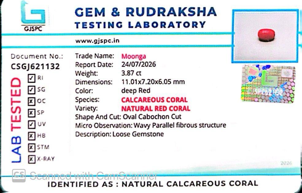 Natural Red Coral (Moonga) – Italy Origin – Certified & Untreated Gemstone for Mars Energy 3.87 CT