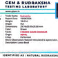 Nepali 9 Mukhi Gauri Shankar Rudraksha