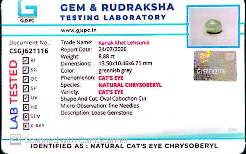 Natural Cat’s Eye Gemstone (Lehsunia) – Protection, Intuition & Ketu’s Power 8.88 CT